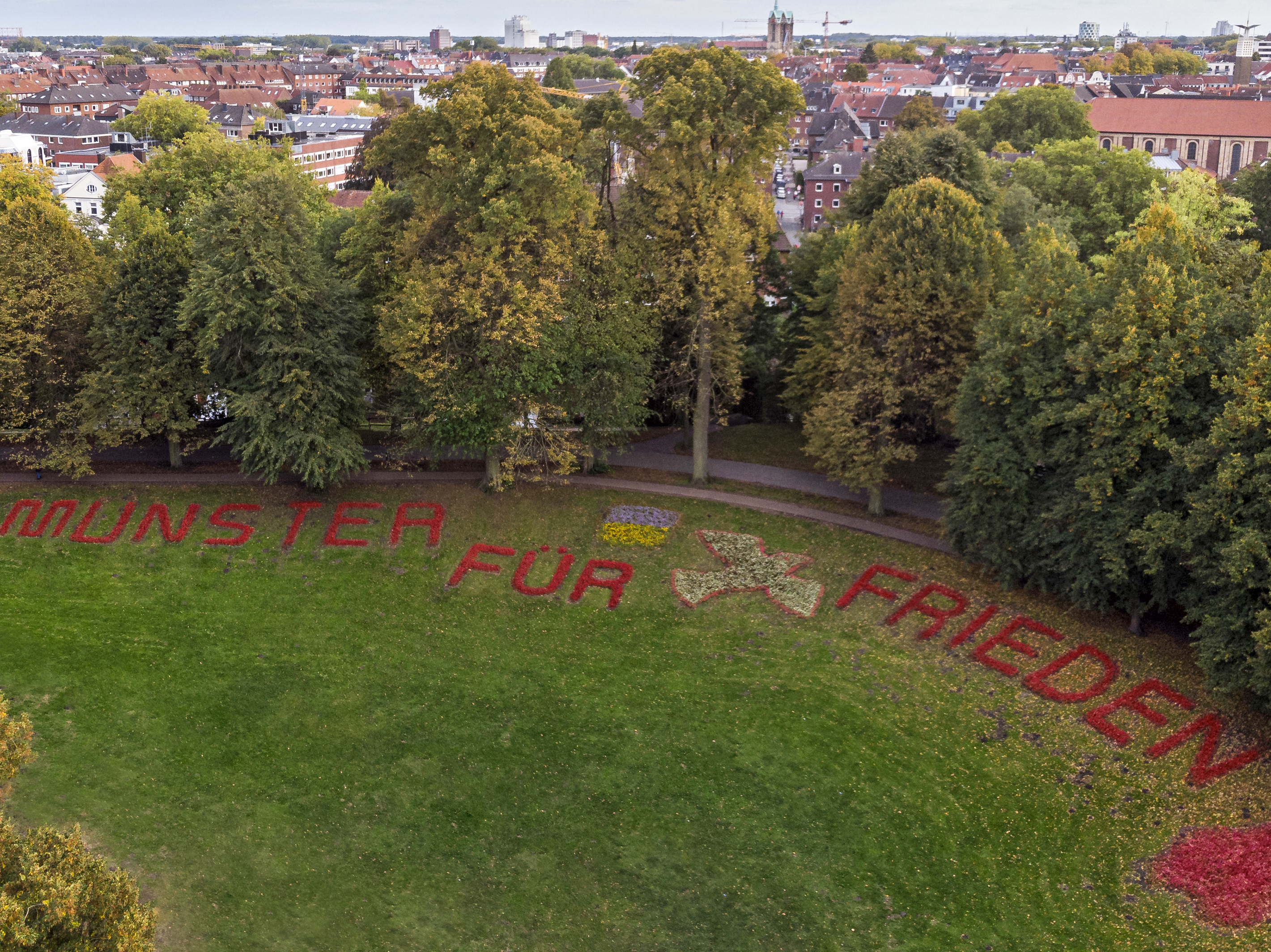"Münster für Frieden", so lautet der Schriftzug aus Tausenden Eisbegonien im Jahr 2022 am Kanonengraben an der Promenade. 