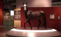 Westfälisches Pferdemuseum im Allwetterzoo Münster (Het Westfaalse paardenmuseum in de Dierentuin Münster)