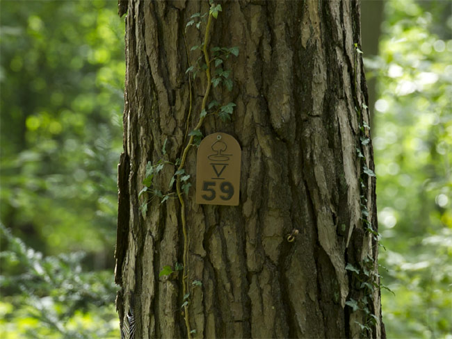 Foto: Baumurnengrab