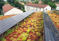 Begrüntes Dach mit Photovoltaik-Anlagen.