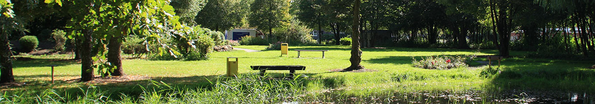 Blick in einen Park mit Sitzbänken