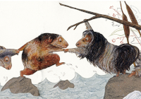 Buchcover: "Das Beste überhaupt - Meerschwein sein" von Lorenz Pauli (Autor) und Kathrin Schärer (Illustrator) Buchcover: "Das Beste überhaupt - Meerschwein sein" von Lorenz Pauli (Autor) und Kathrin Schärer (Illustrator)