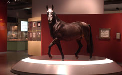 Westfälisches Pferdemuseum im Allwetterzoo Münster (Westphalian Horse Museum at the Münster All-Weather zoo) Westfälisches Pferdemuseum im Allwetterzoo Münster (Westphalian Horse Museum at the Münster All-Weather zoo)