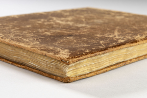 Das Stammbuch von Marianne von Gallitzin Außenansicht.