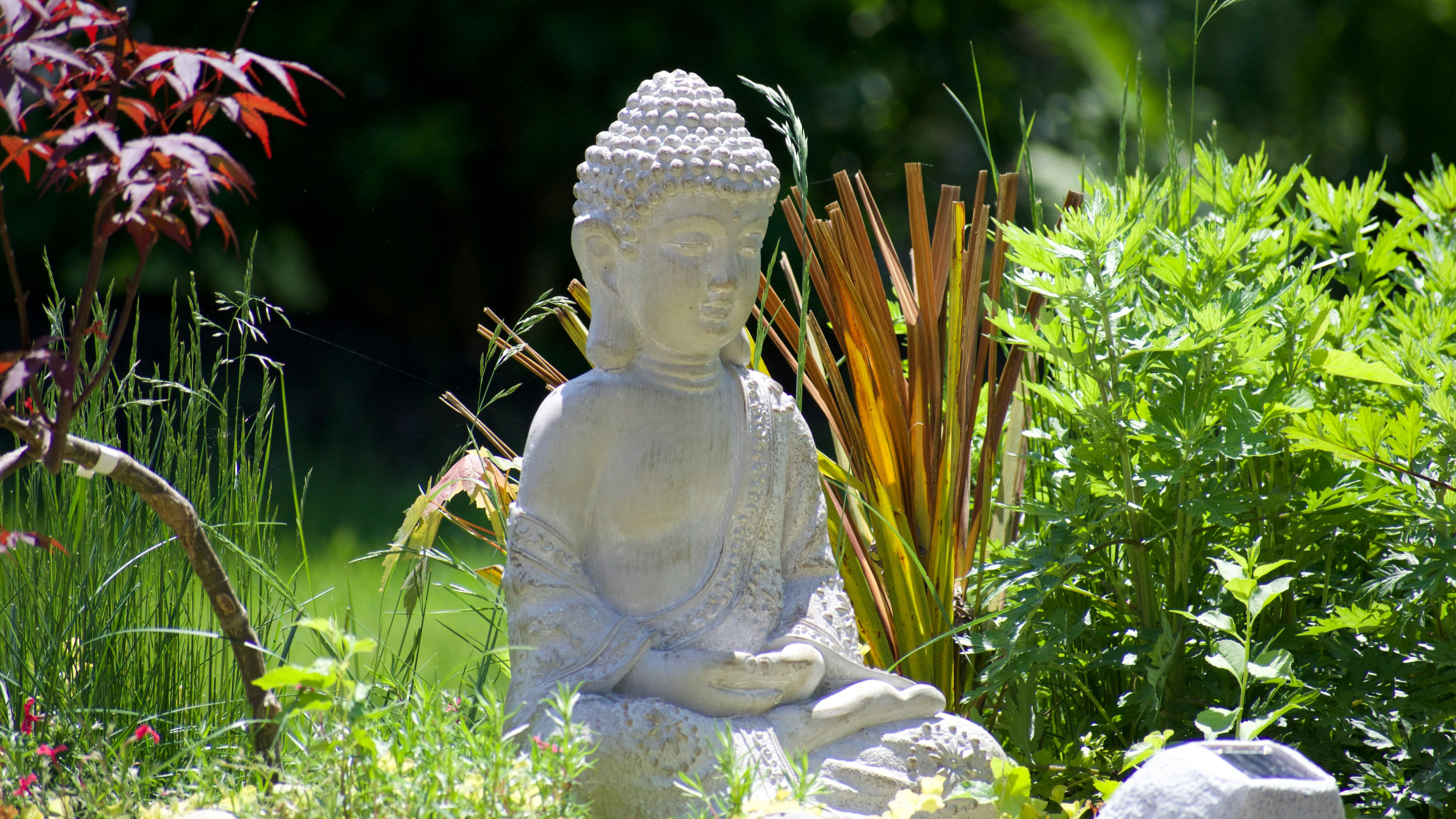 Ruhige Buddha Statue in üppiger Gartenumgebung