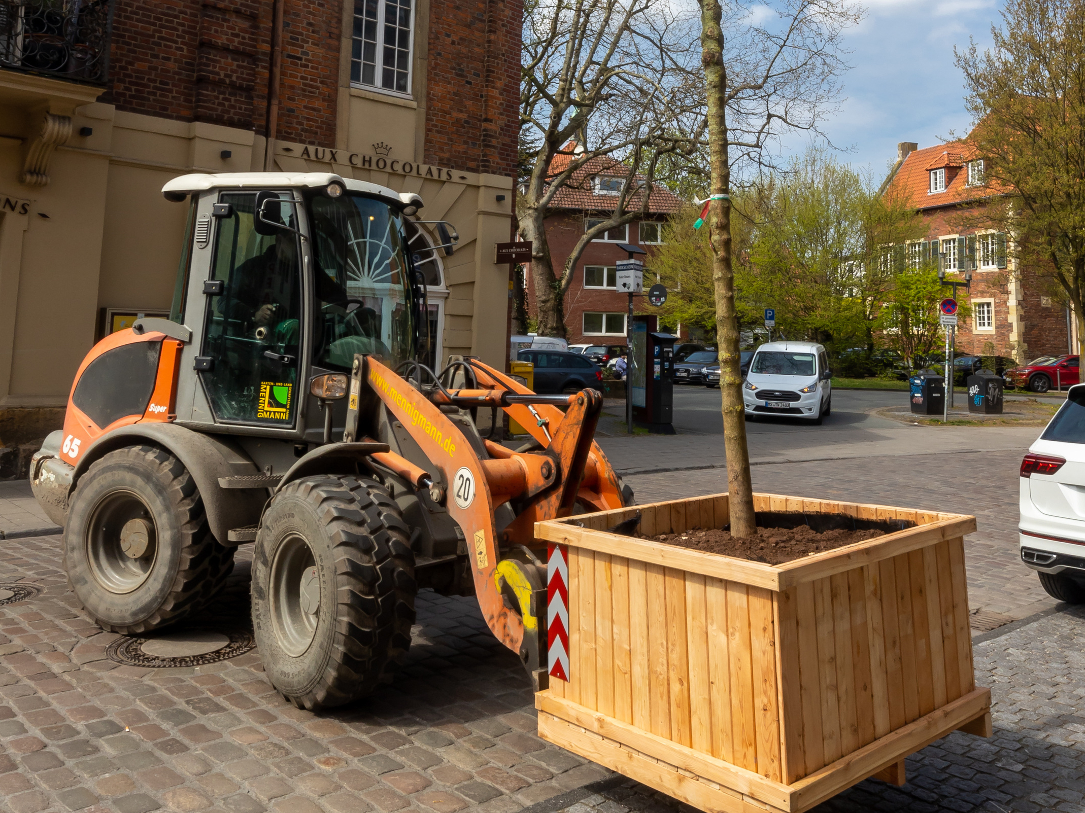 In Münsters Innenstadt wird mit einem Bagger ein Baum in einem Pflanzkübel aufgestellt.