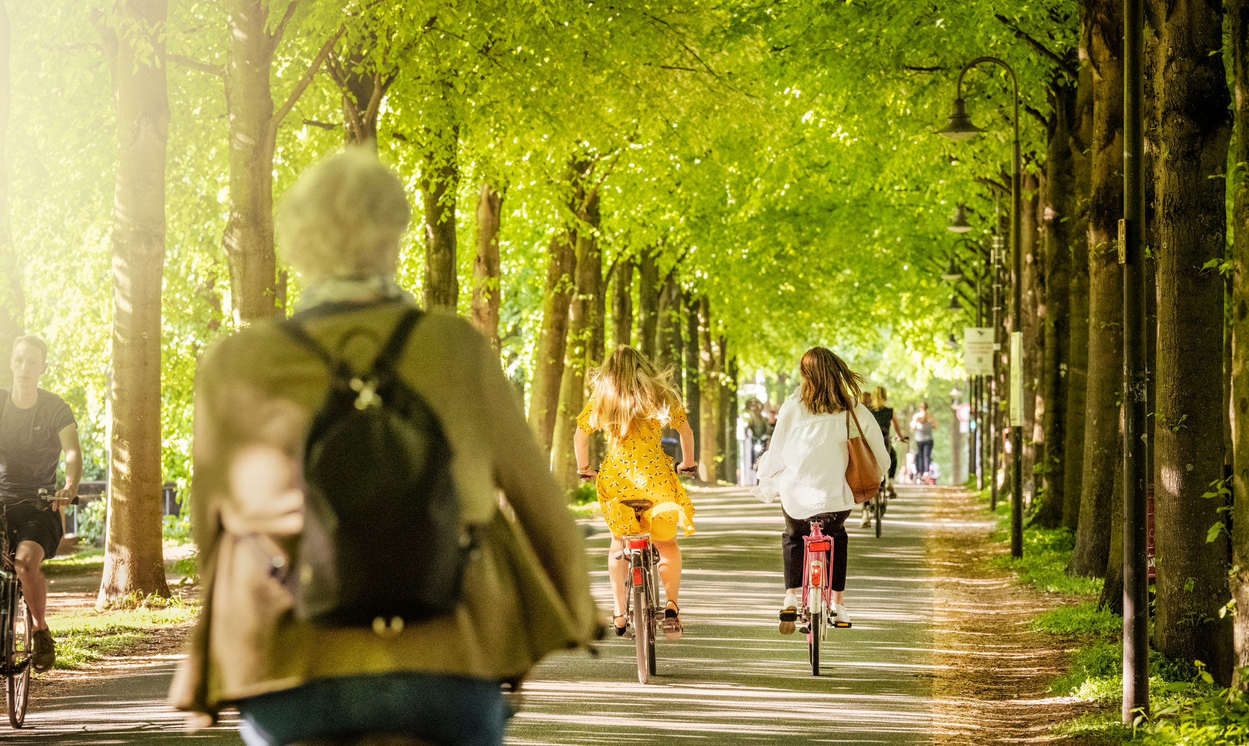 Radfahrer auf der Promenade