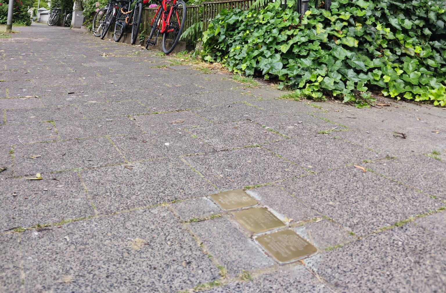 Stolpersteine im Kreuzviertel