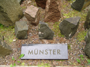 Blick auf Steine und eine Platte, auf der "Münster" steht.