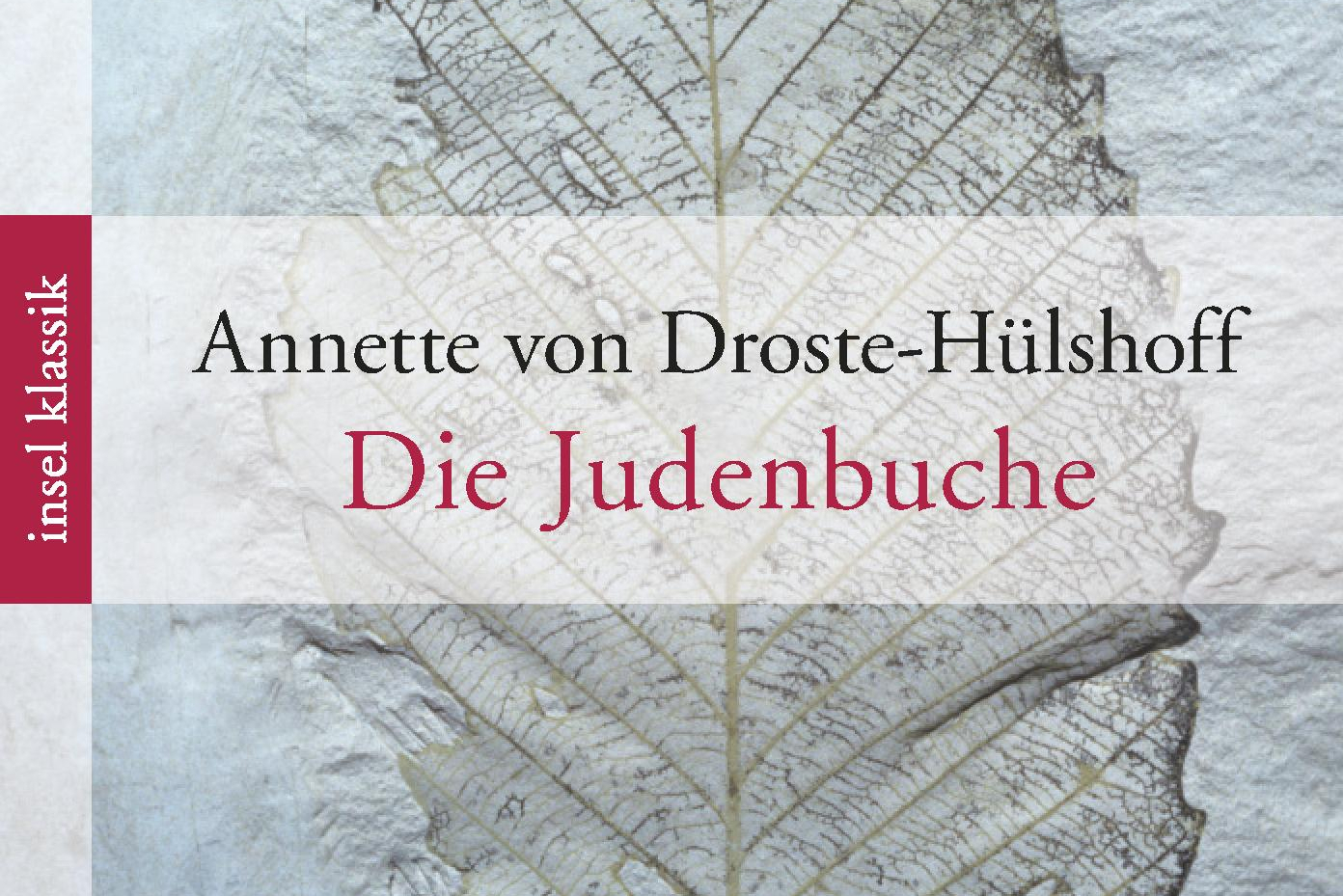 Buchcover "Die Judenbuche"