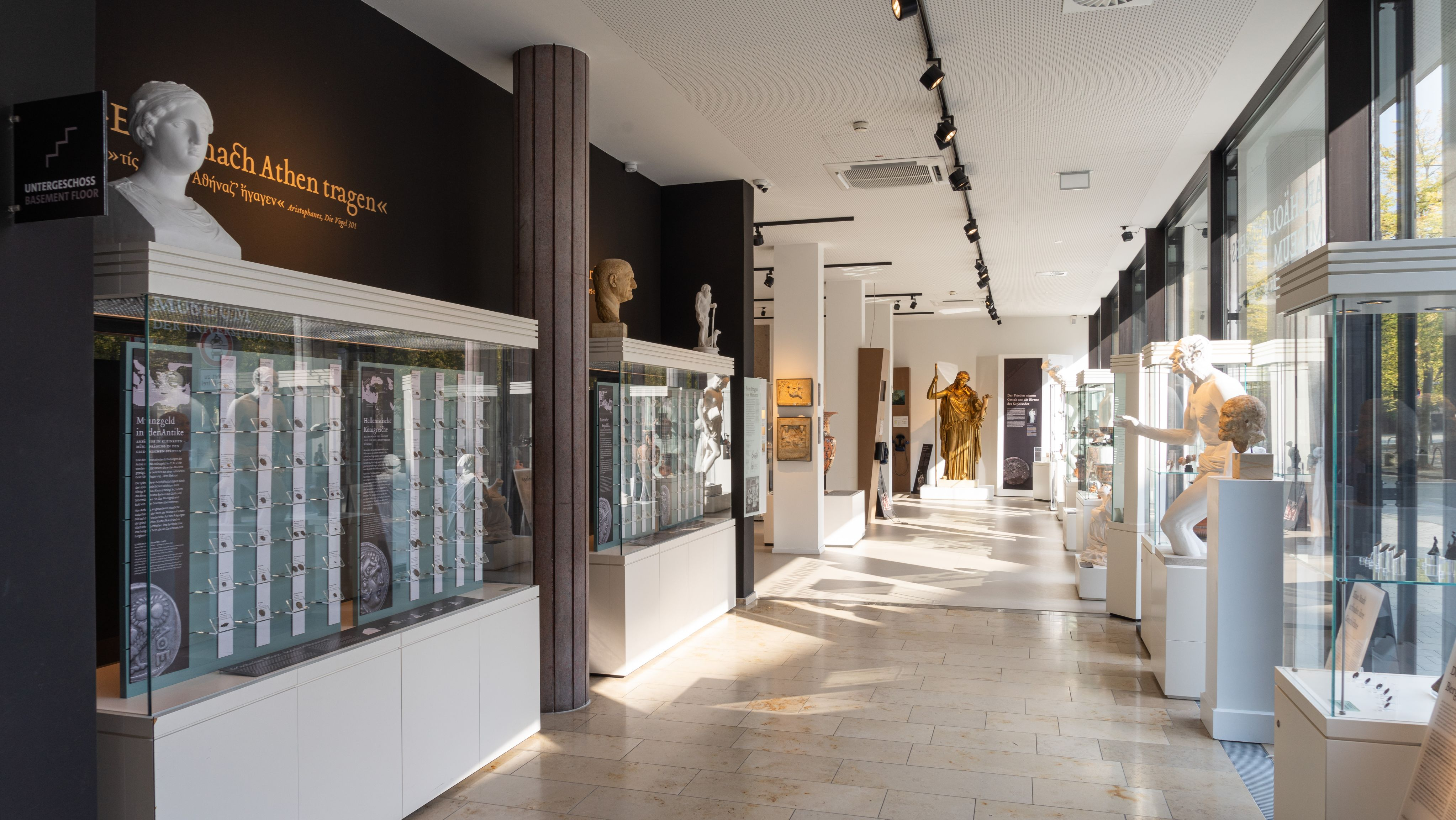 Blick in das Archäologische Museum Münster