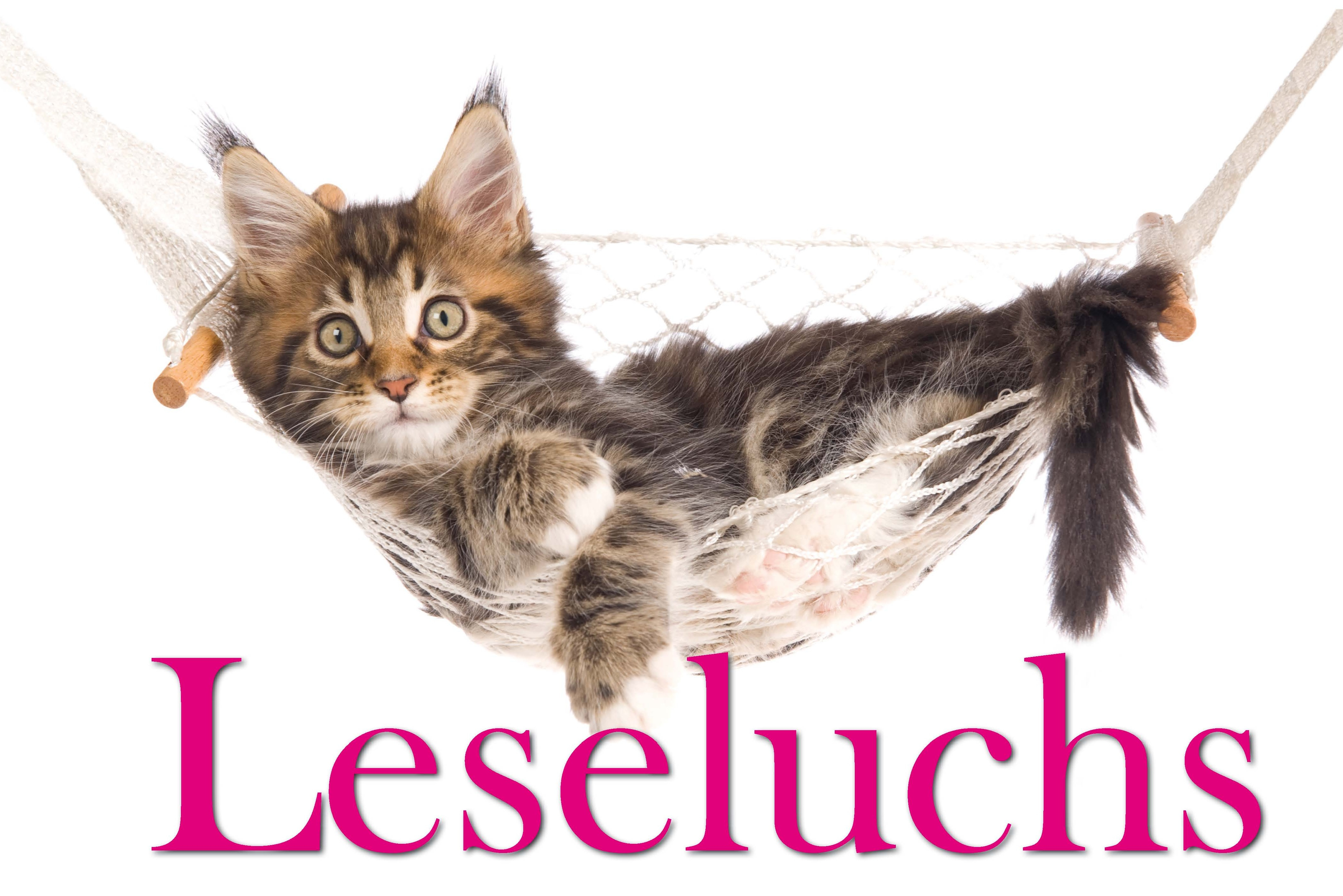 Luchs in einer Hängematte