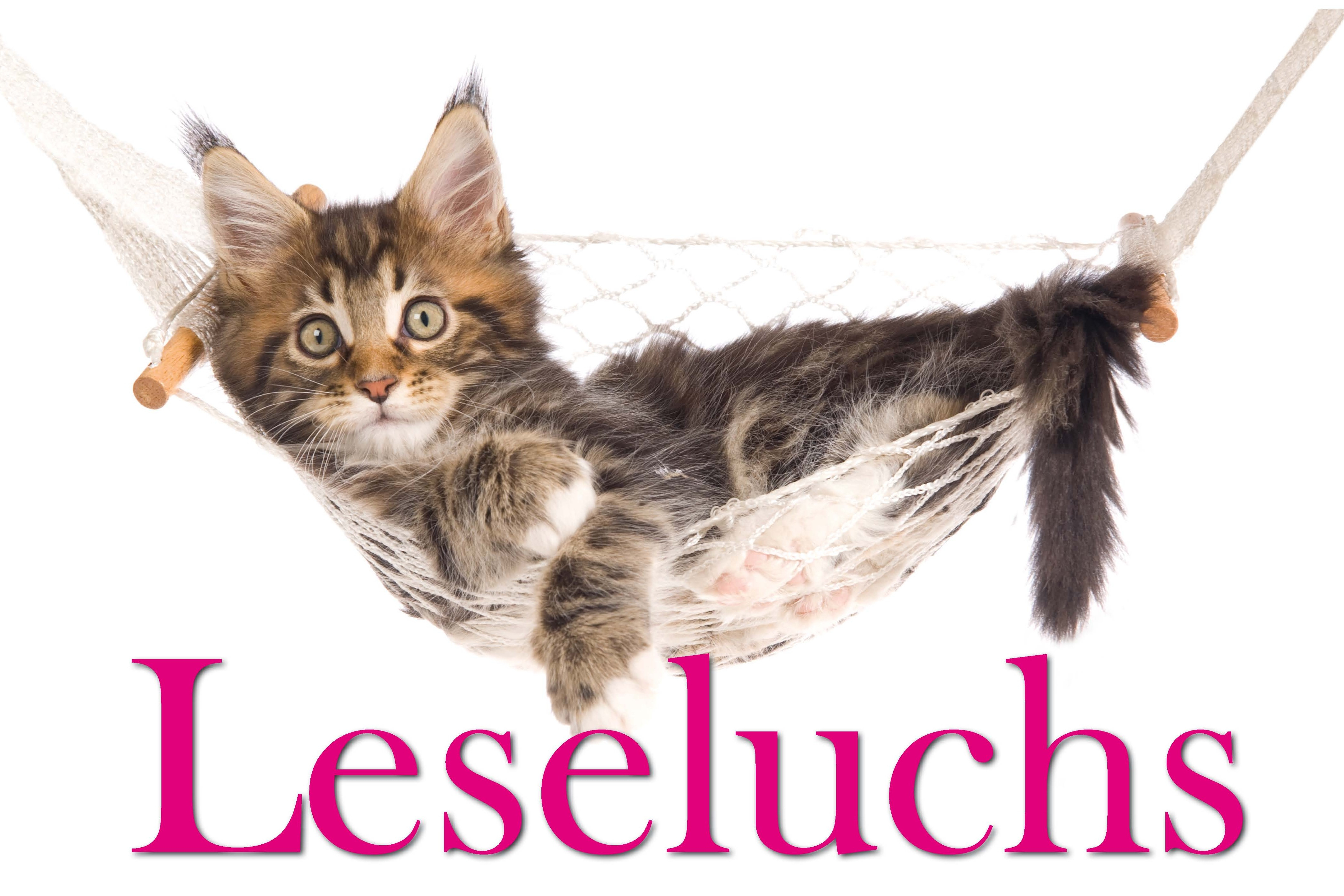 Luchs in einer Hängematte