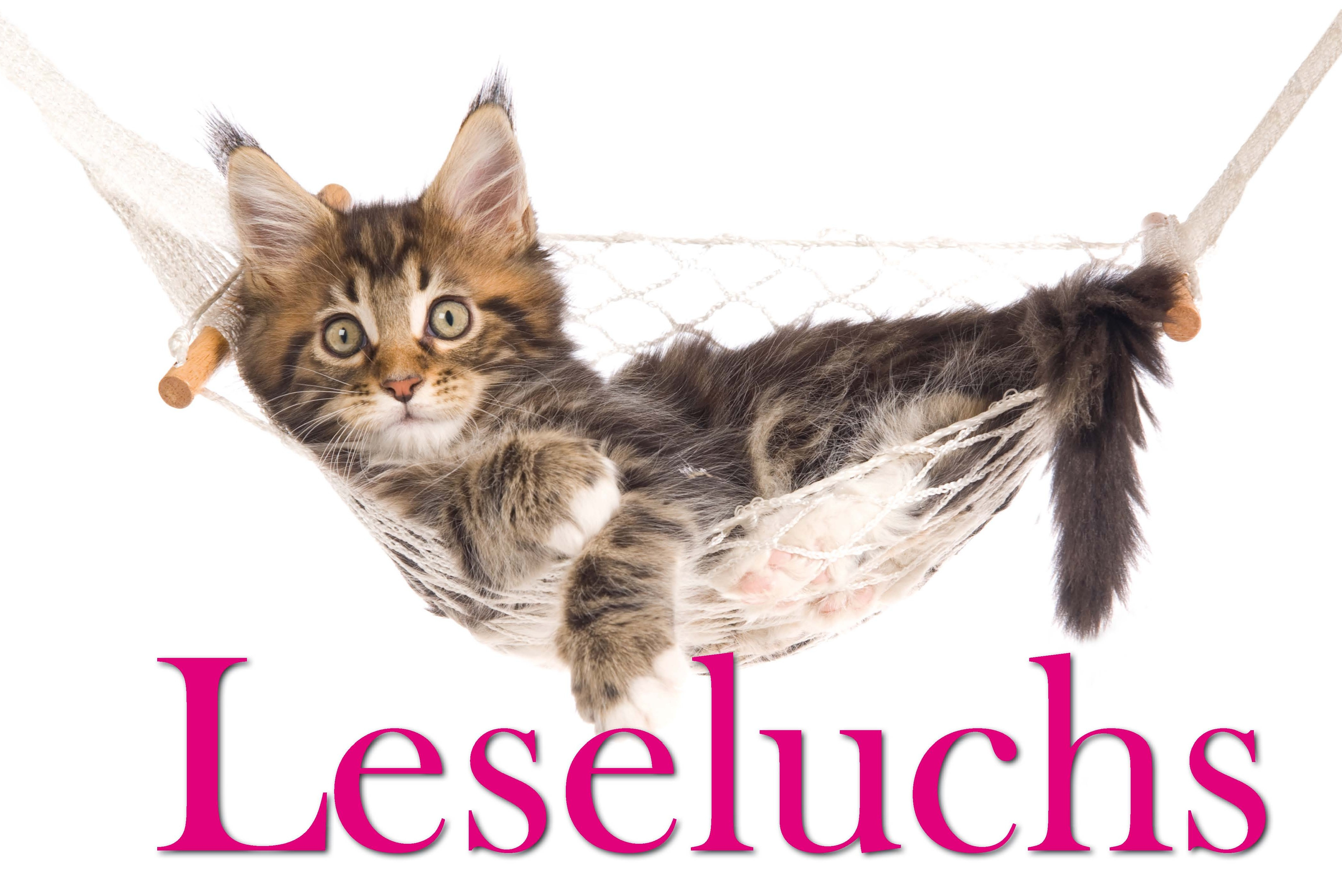 Luchs in einer Hängematte