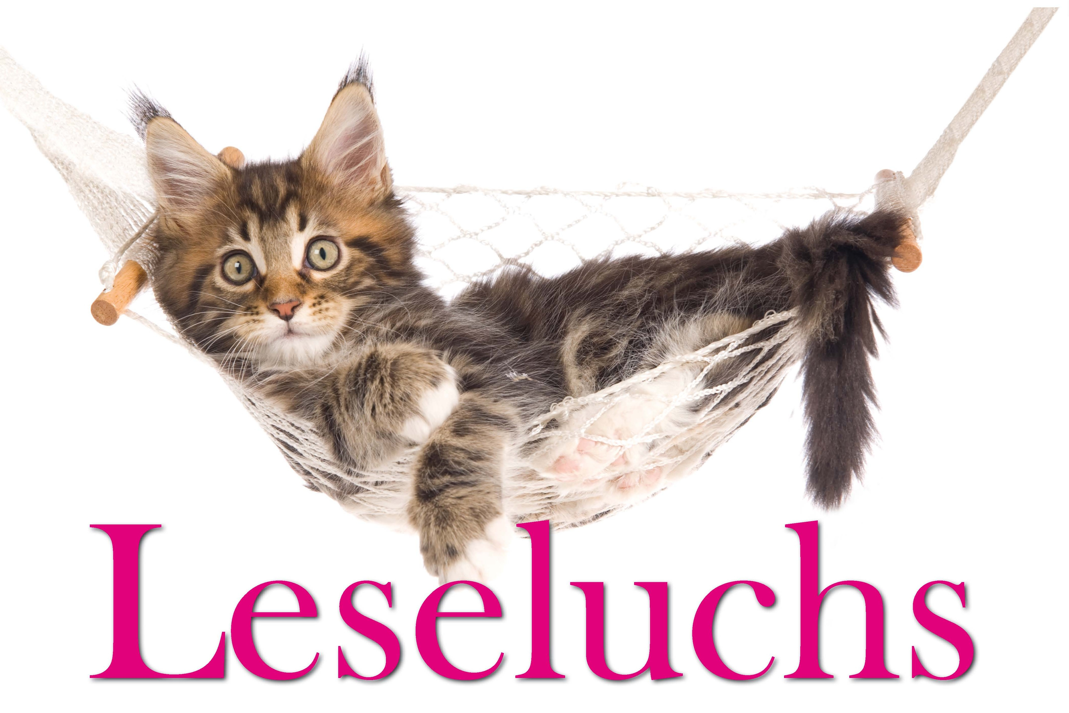 Luchs in einer Hängematte