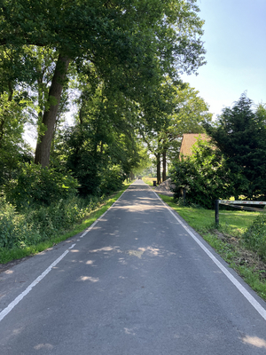 Auf dem Foto ist die Kötetrstraße zu sehen