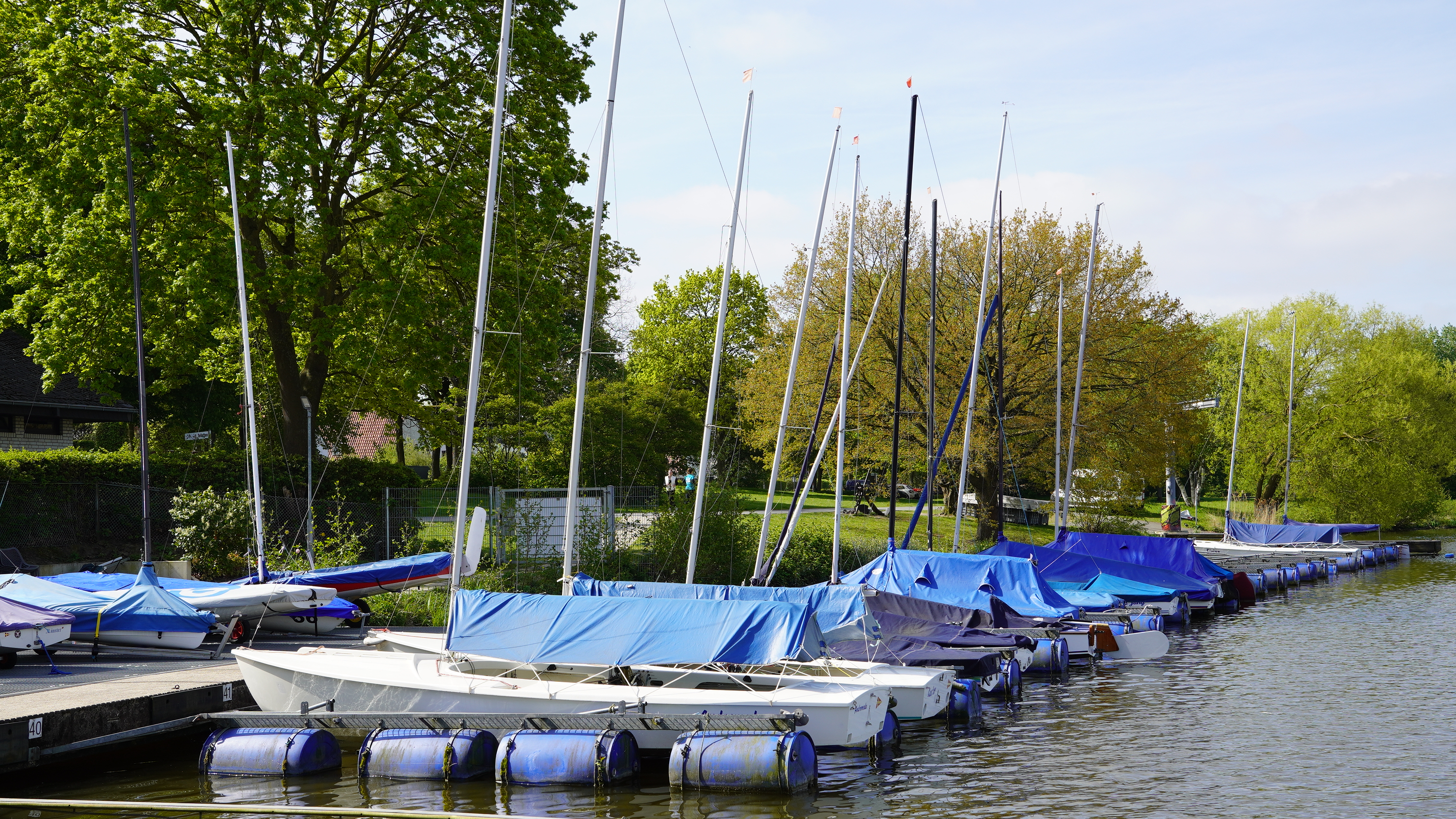Steg mit Segelbooten