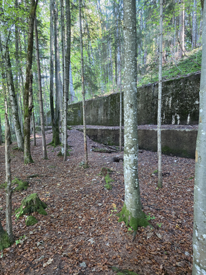 NS-Relikte im Wald