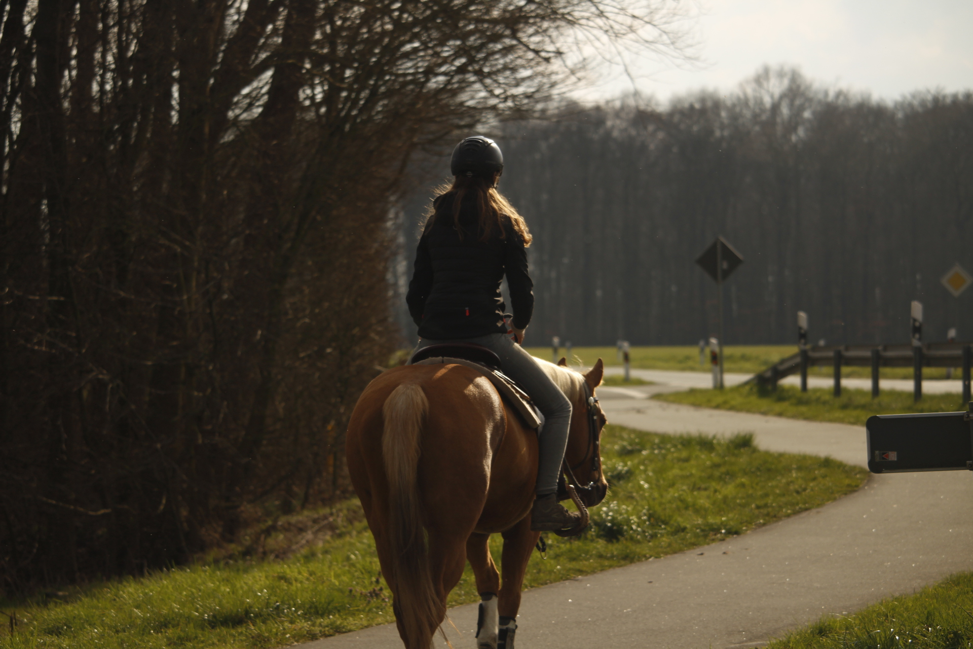 Junge Frau auf einem Pferd, Rückansicht, reitet auf einer schmalen Straße