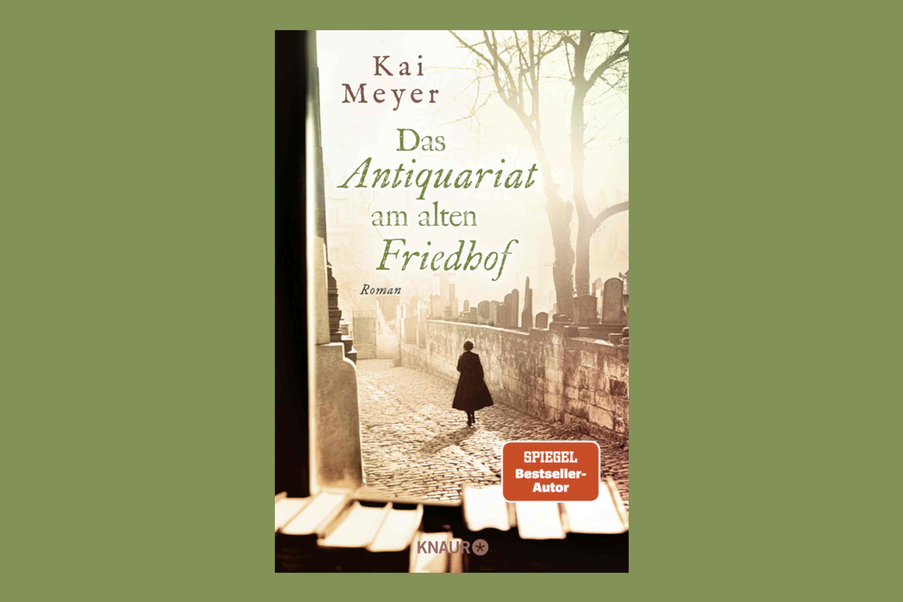 Buchcover Kai Meyer Antiquariat
