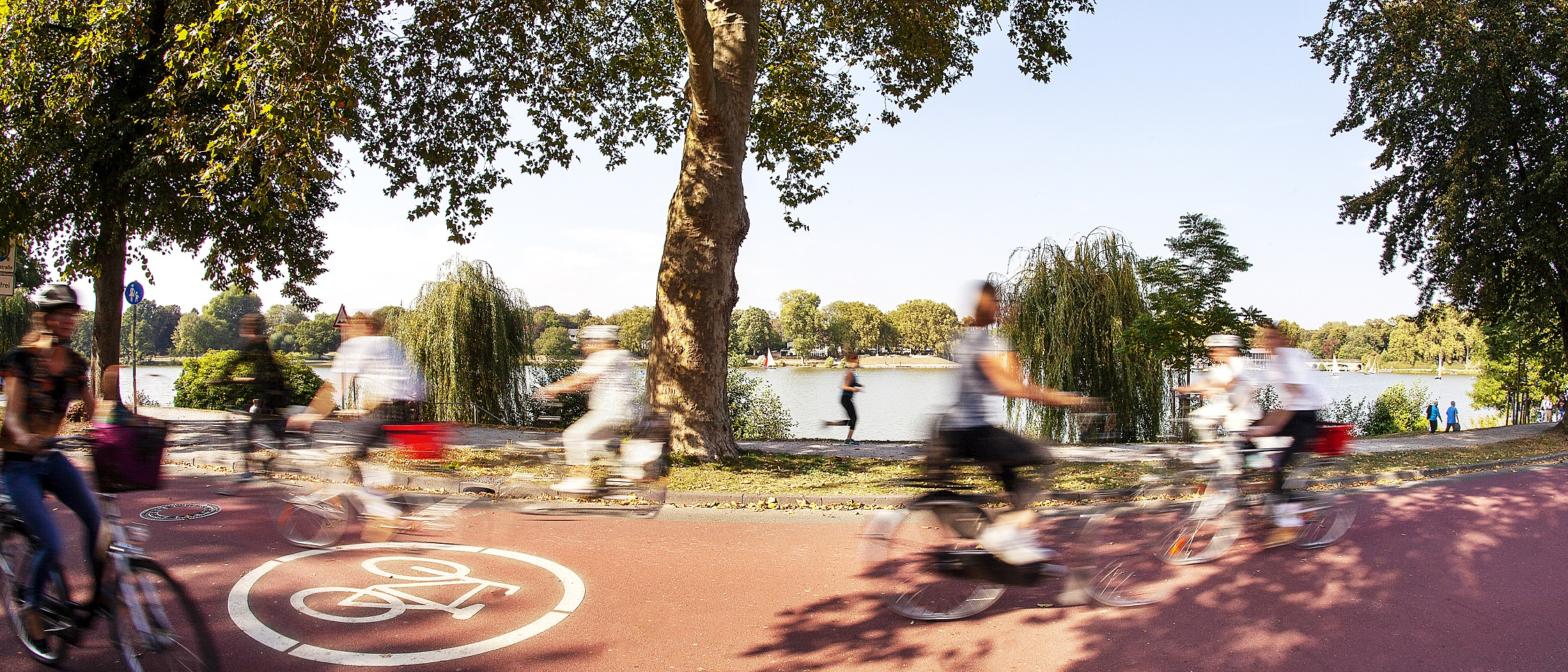 Radfahrende und Laufende vor dem Aasee im Sommer