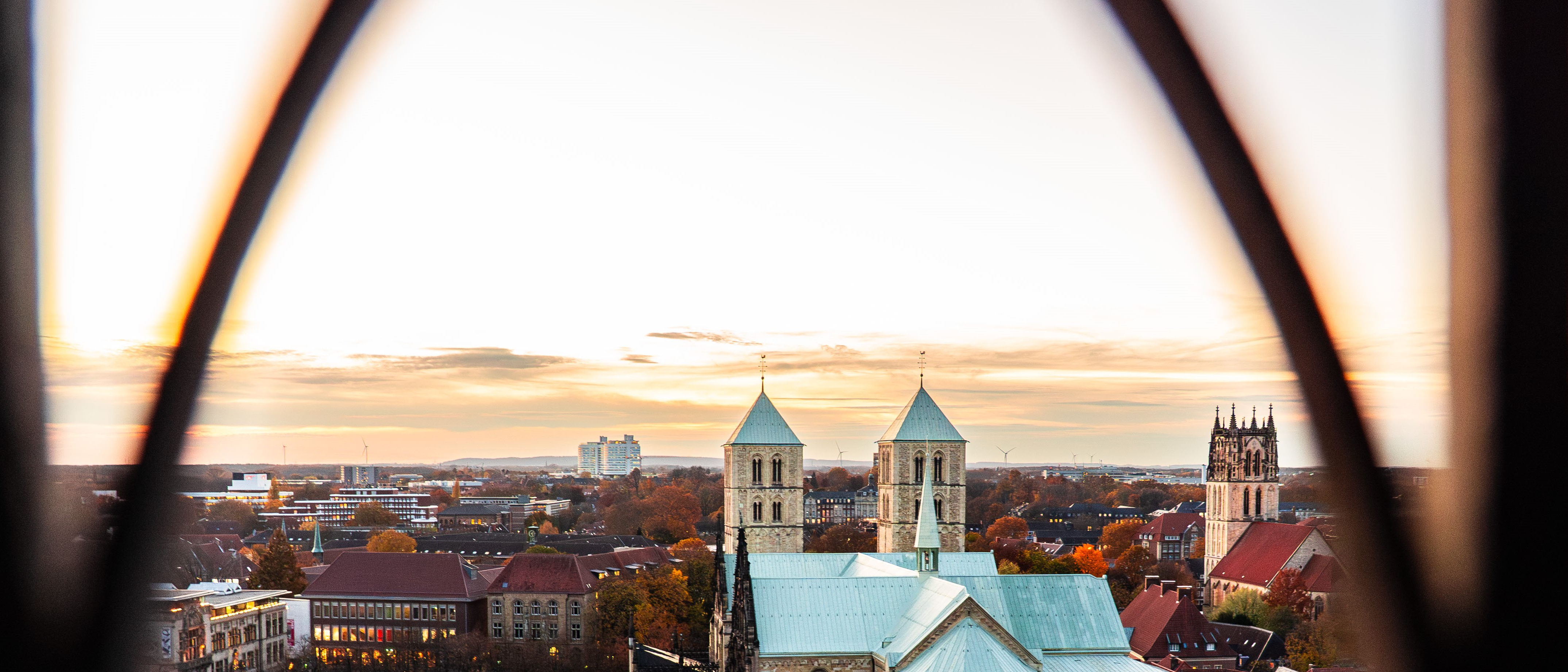 Blick über Münster, in der Mitte der Dom