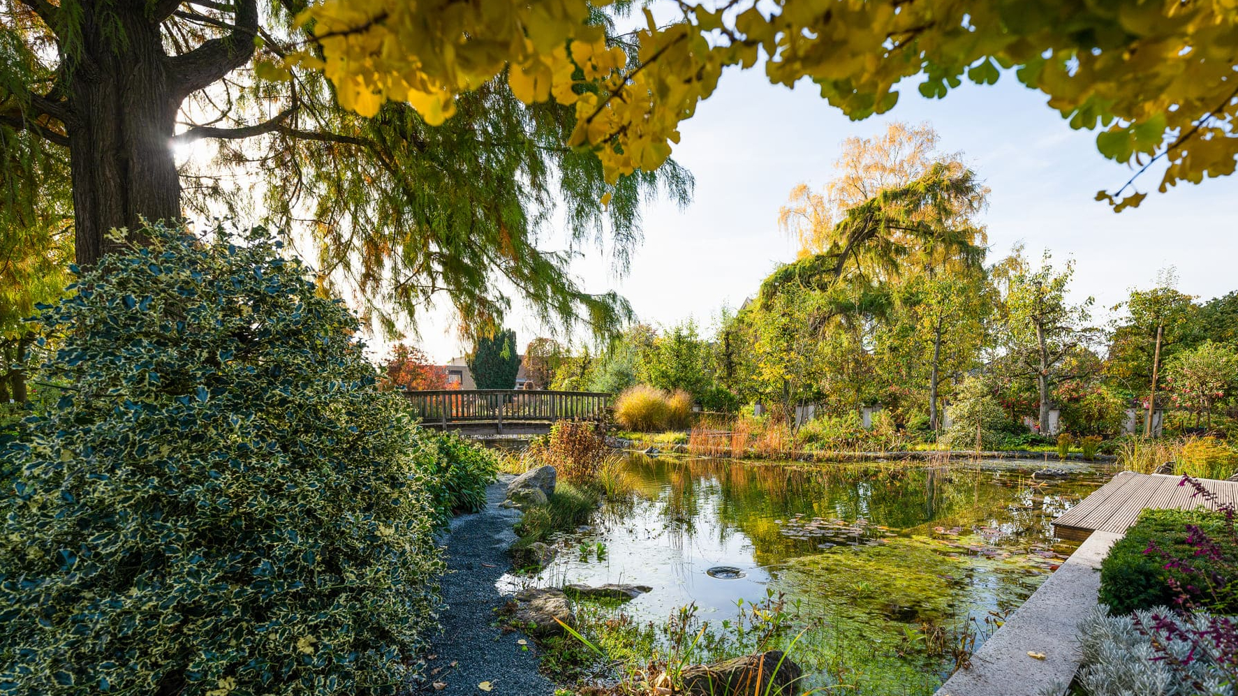 Kreislehrgarten in Steinfurt