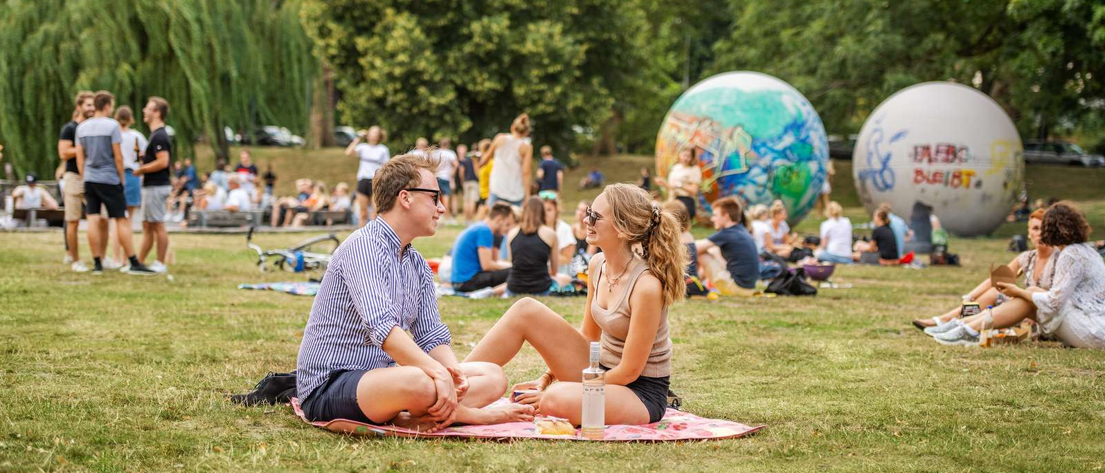 Studierende sitzen auf der Aaseewiese bei einem Picknick.