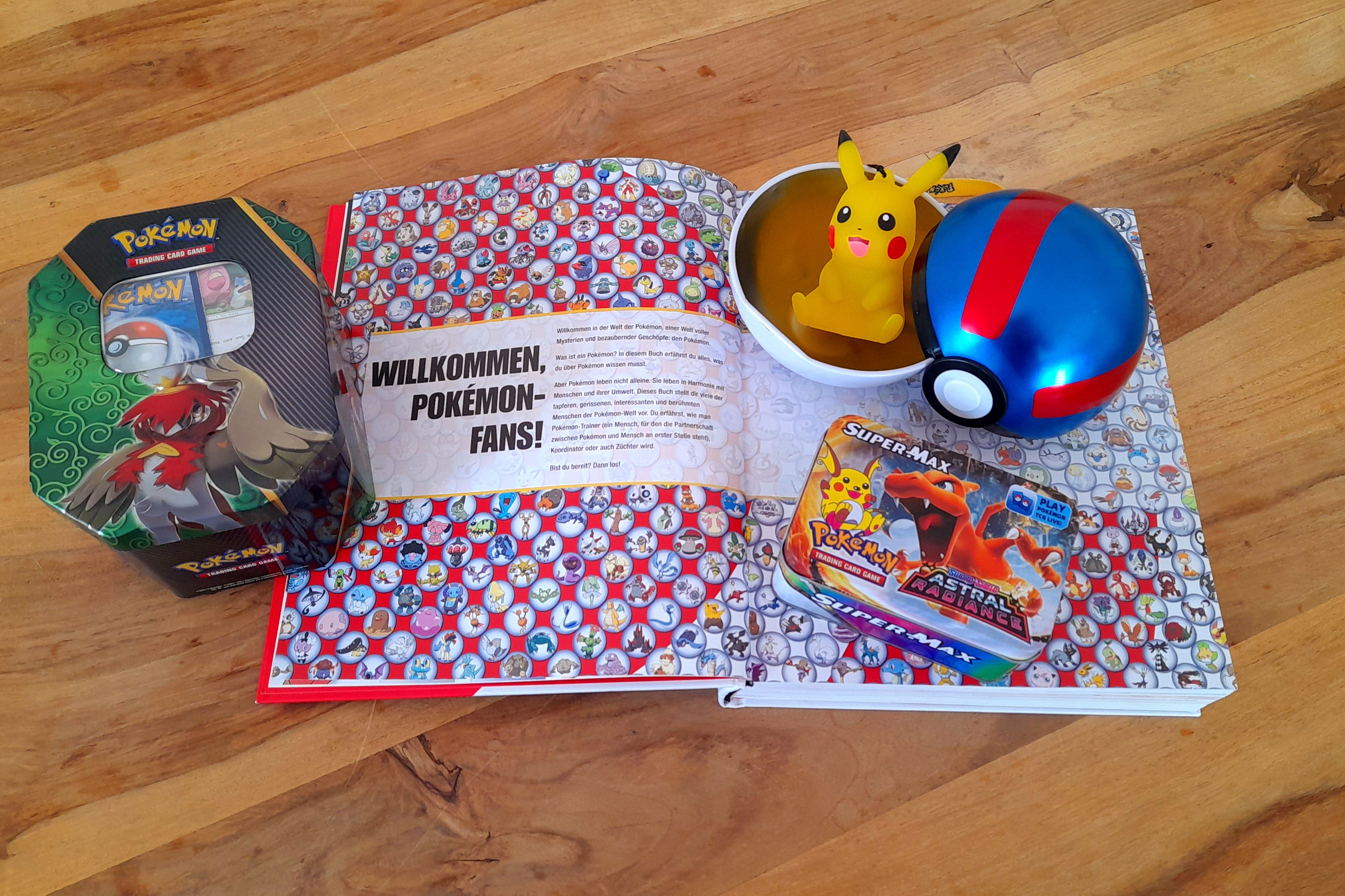 Pokemon Fanartikel