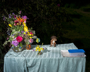 Lia Darjes, Plate XXXI 2023