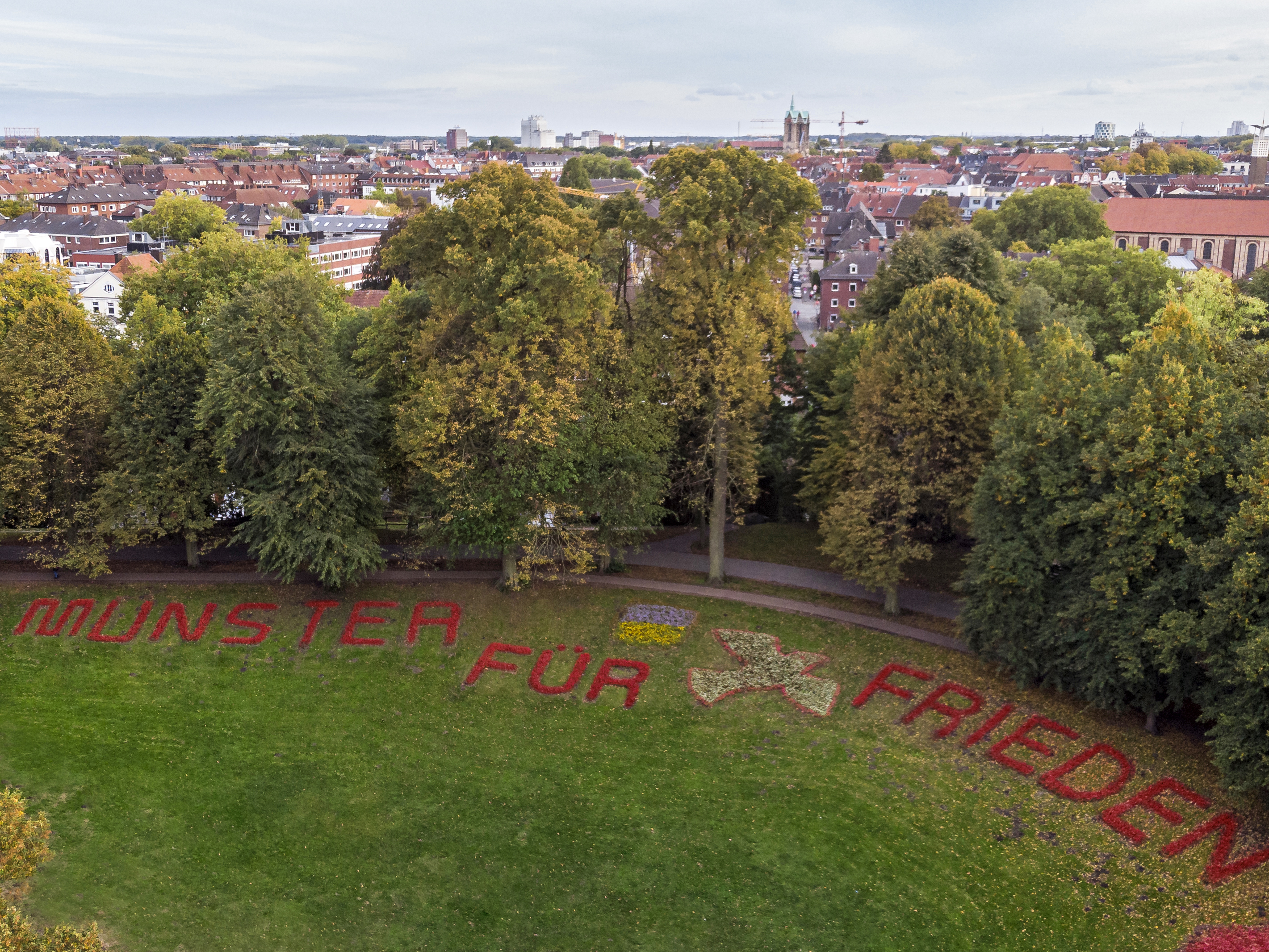 "Münster für Frieden", so lautet der Schriftzug aus Tausenden Eisbegonien im Jahr 2022 am Kanonengraben an der Promenade. 