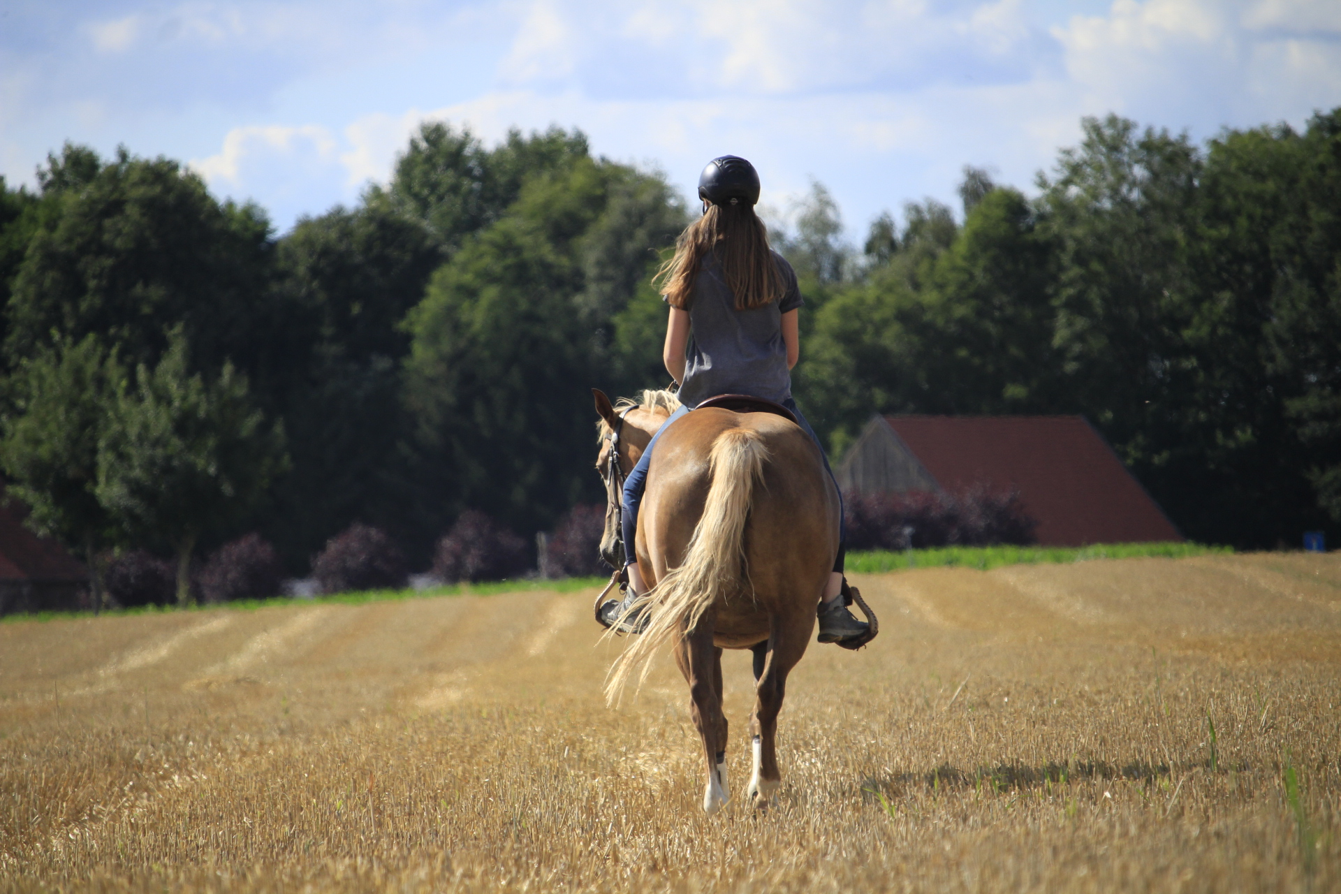 Ausritt in freier Landschaft
