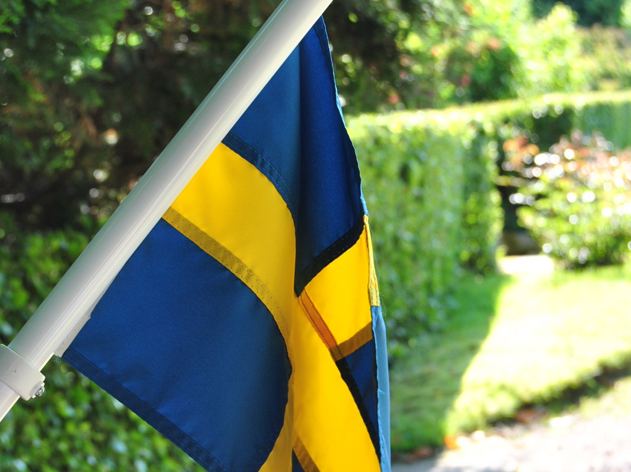 Schwedische Flagge vor Natur-Hintergrund