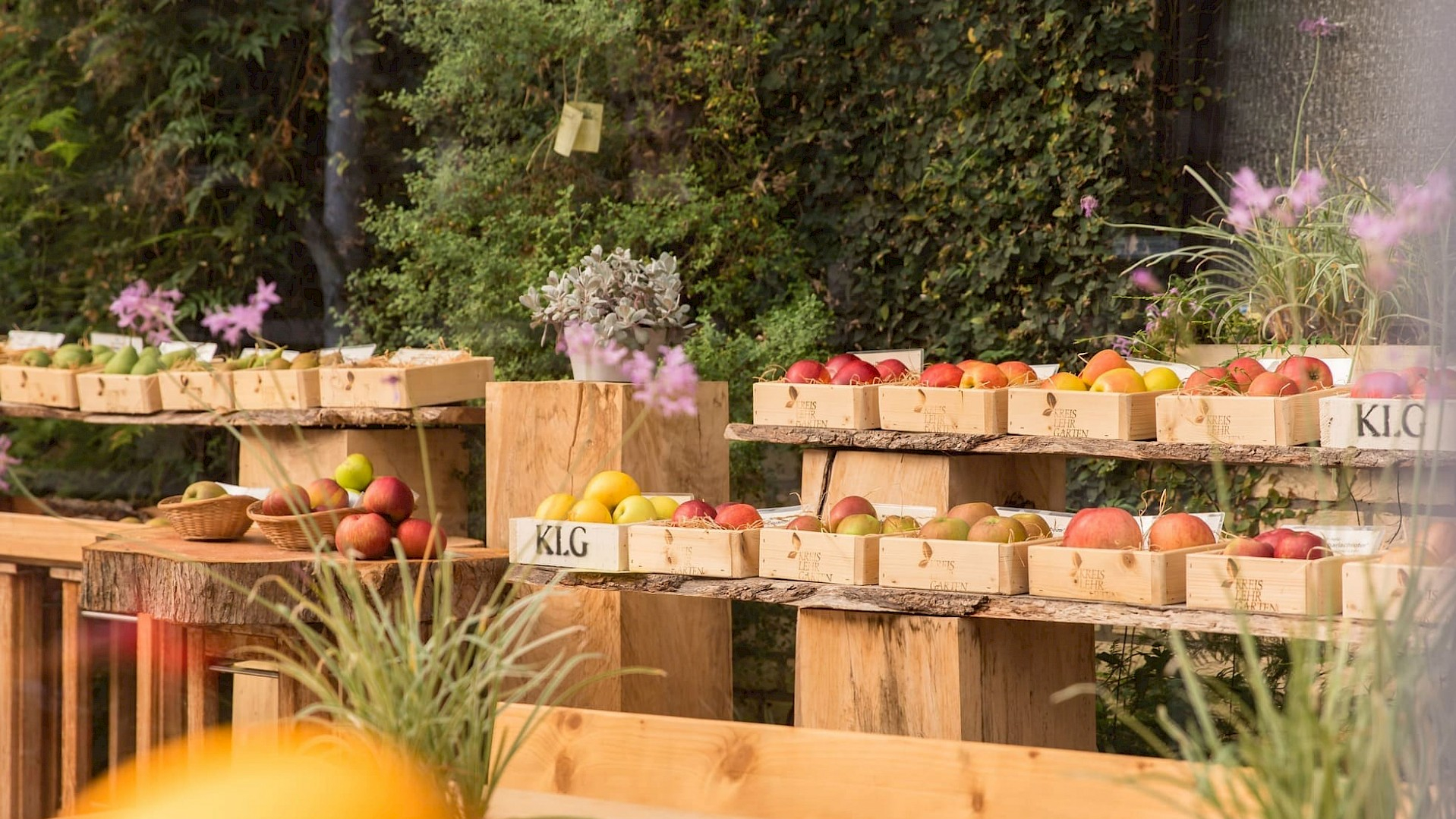 Obst und Gemüse im Kreislehrgarten