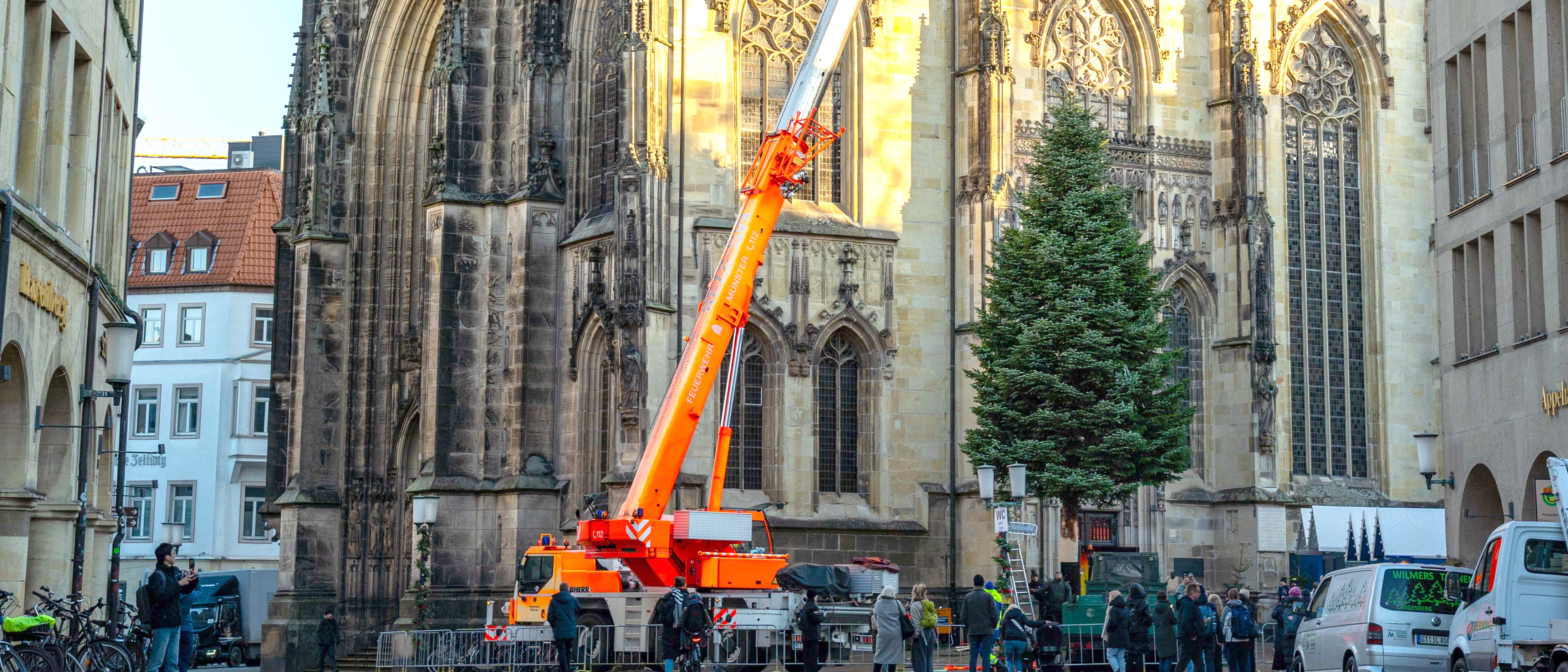 Aufstellung der Weihnachtstanne