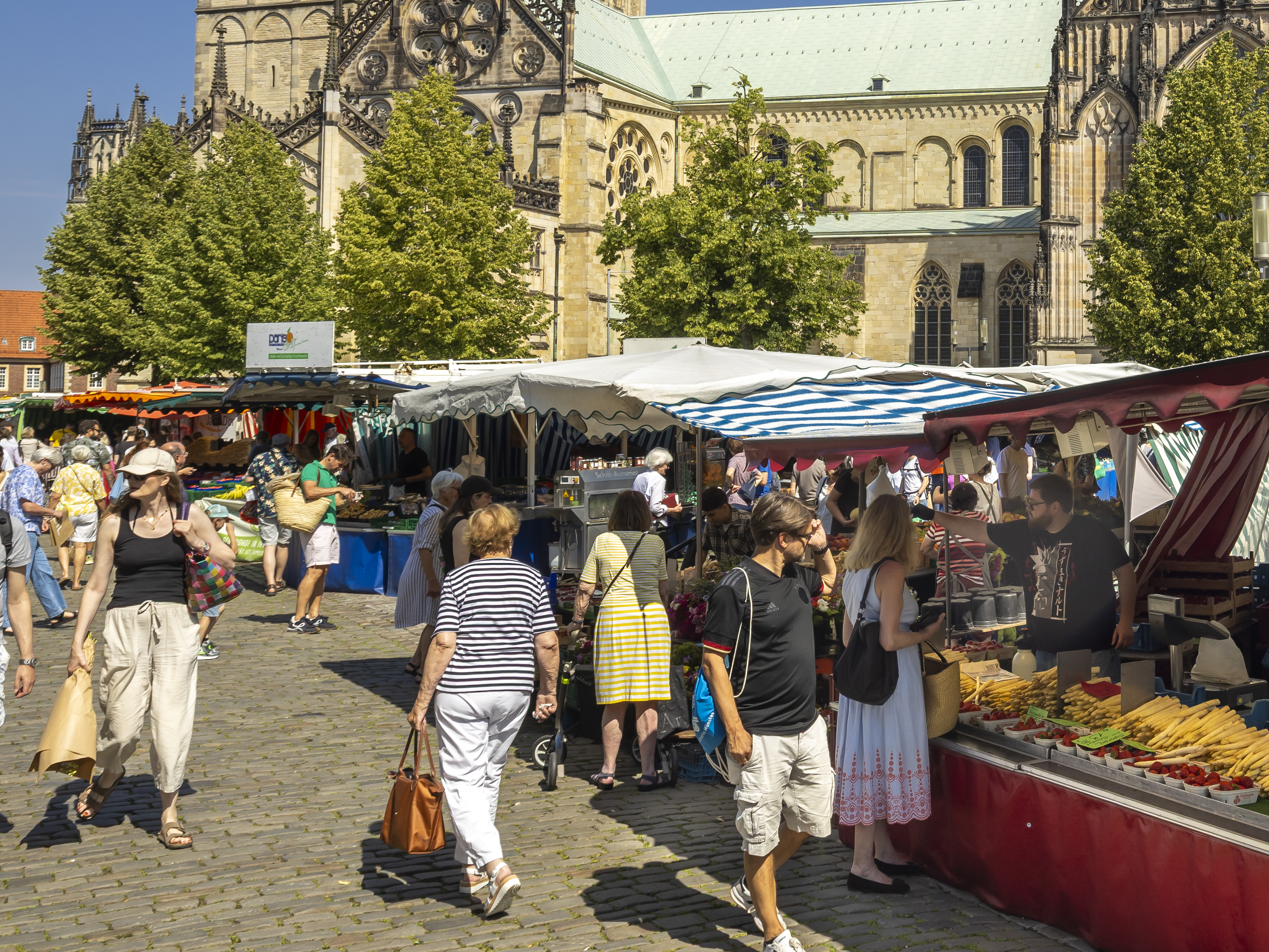 Wochenmarkt auf dem Domplatz