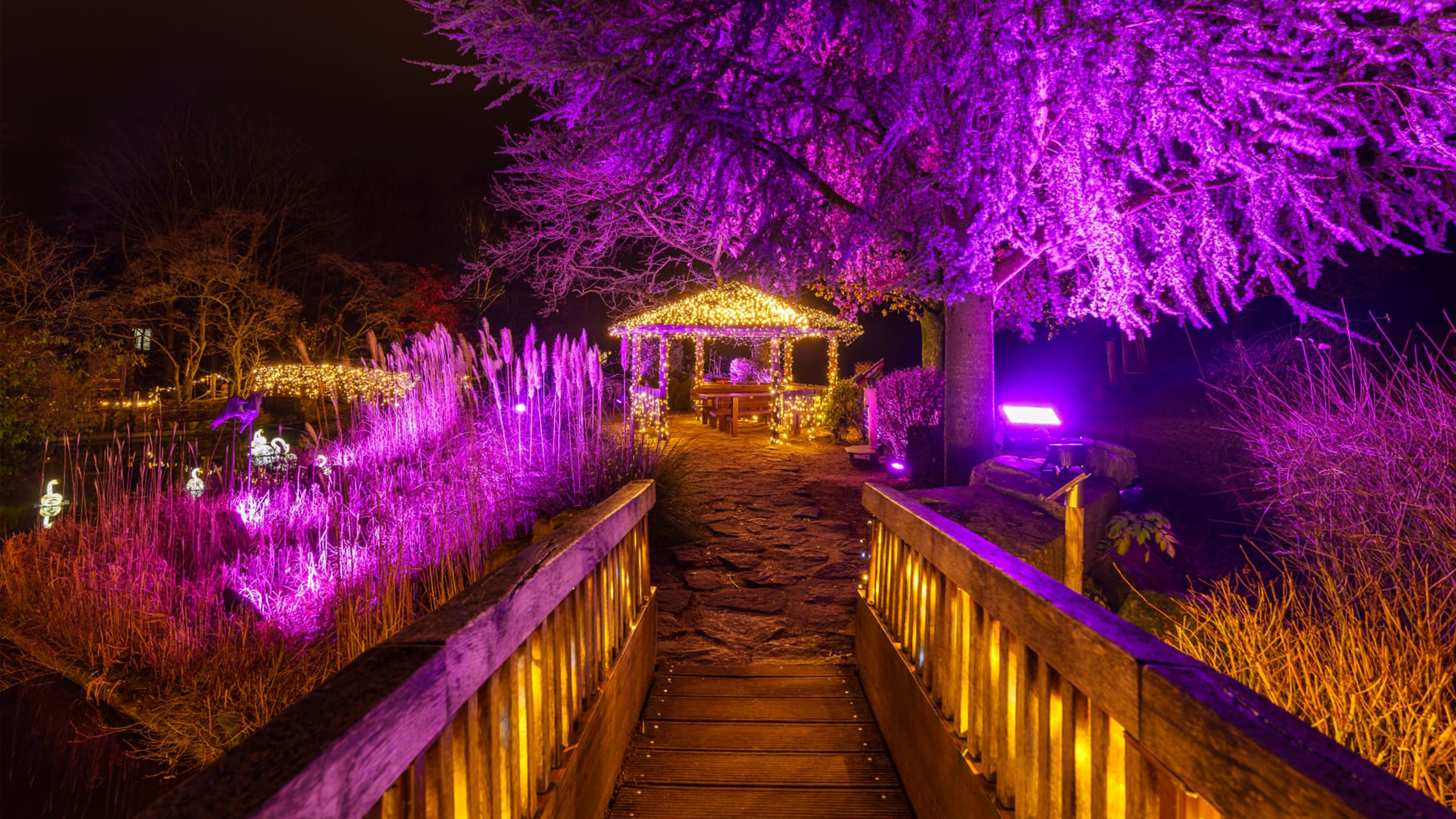 XMAS LIGHTS im Allwetterzoo Münster