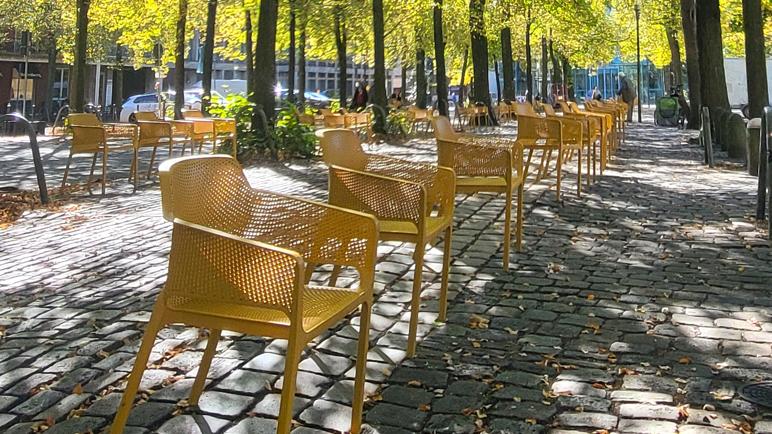 Gelbe Stühle im Schatten der Bäume auf dem Domplatz