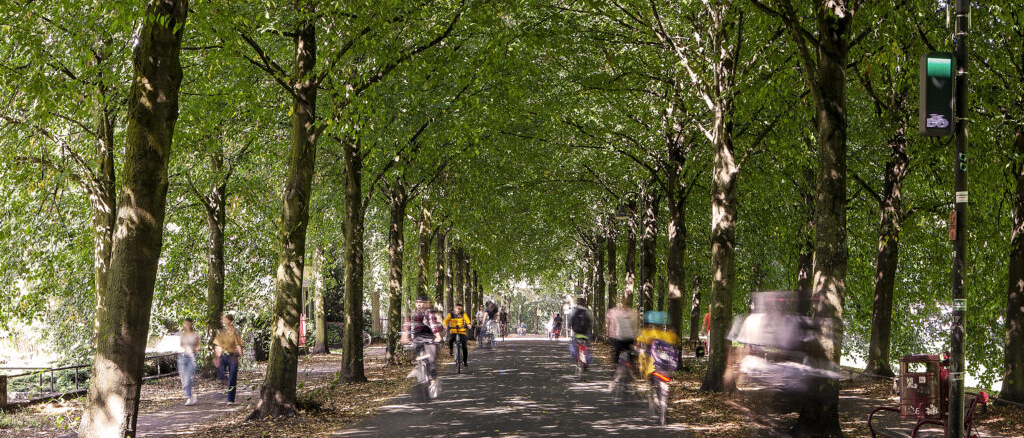 Leezenflow an der Promenade