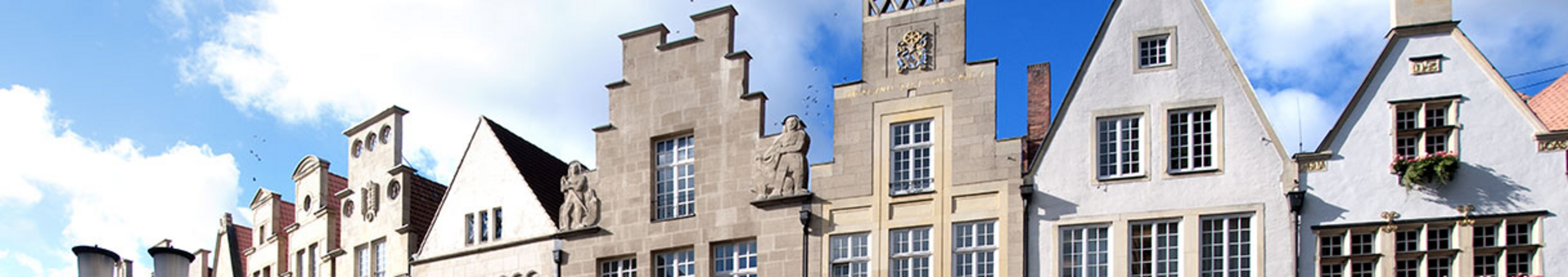 Stadt Münster: Stadtplanung - Flächennutzungsplan - 111. bis 120. Änderung