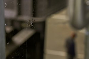 Base and Superstructure