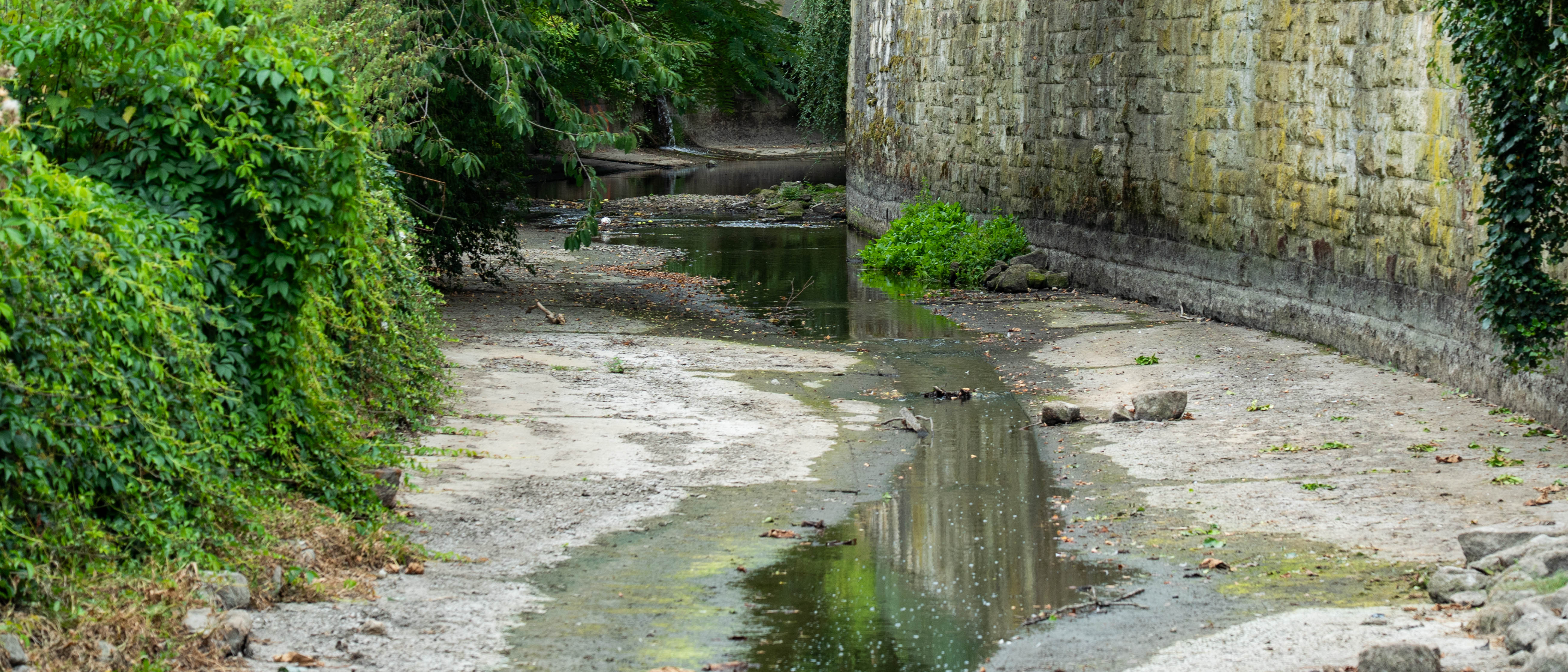 Die Aa in der Innenstadt führt nur noch wenig Wasser. Im Hintergrund ist eine alte Mauer zu sehen.