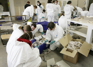 Zahlreiche Restauratoren retten Archivgut