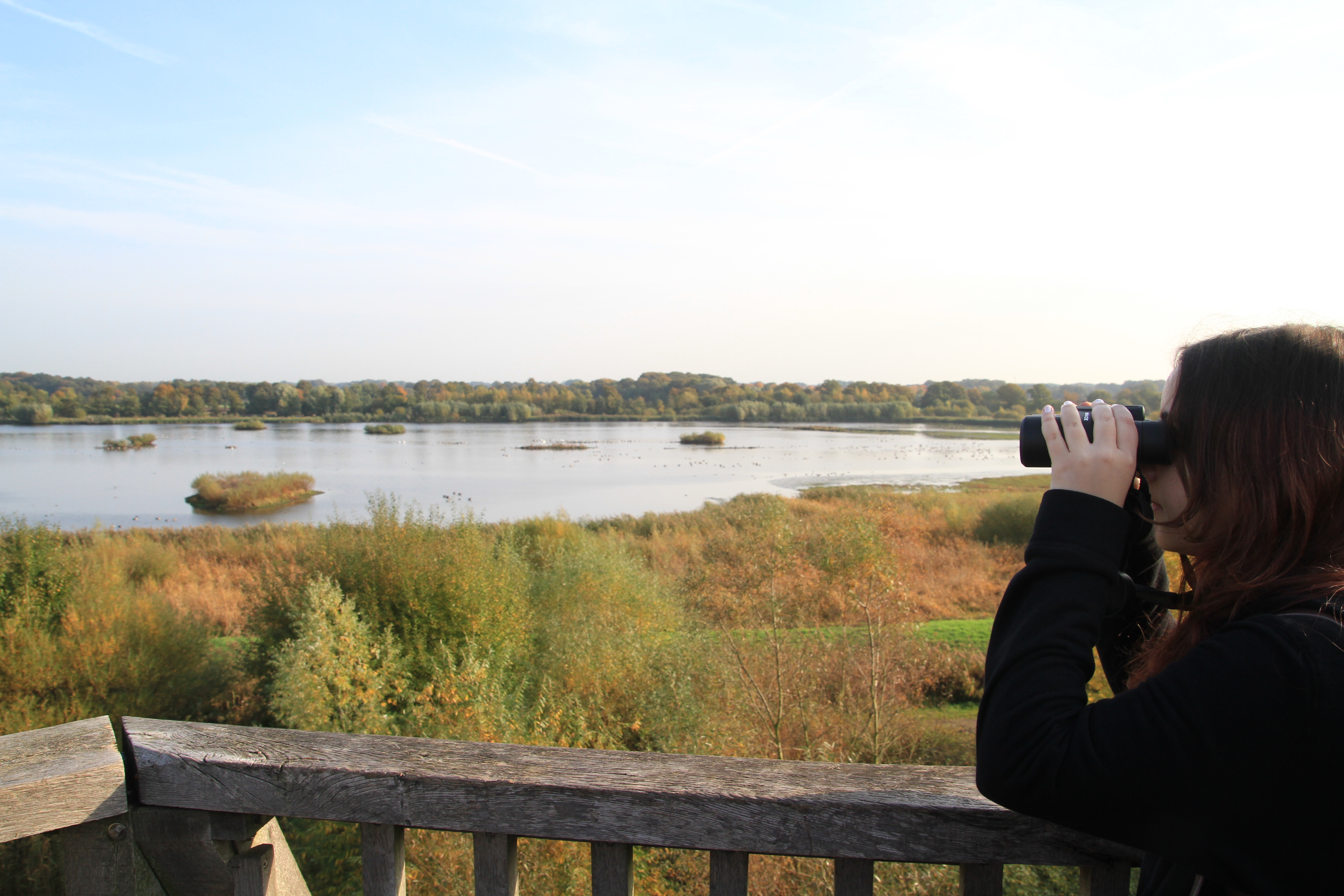 Am rechten Bildrand stehend, schaut ein Mensch mit langen Haaren durch ein Fernglas auf eine Wasserfläche mit Grasuferbereich.