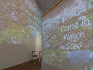 Einblick in die Ausstellung / Videoprojektionen.