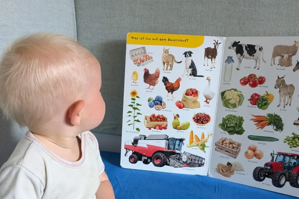 Ein Kleinkind schaut ein Bilderbuch an