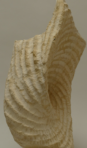 Steinbildhauerei Workshop