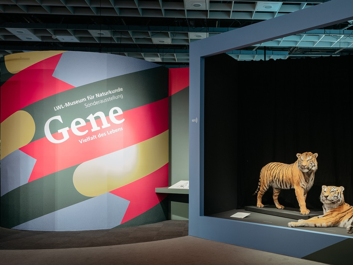 Gene - Vielfalt des Lebens