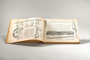 Illustriertes Buch über das Leben im Lager Haus Spital.