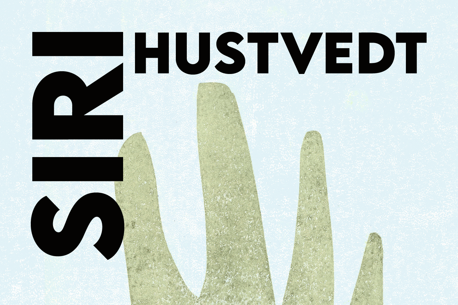 Buchcover Siri Hustvedt, Mütter, Väter und Täter